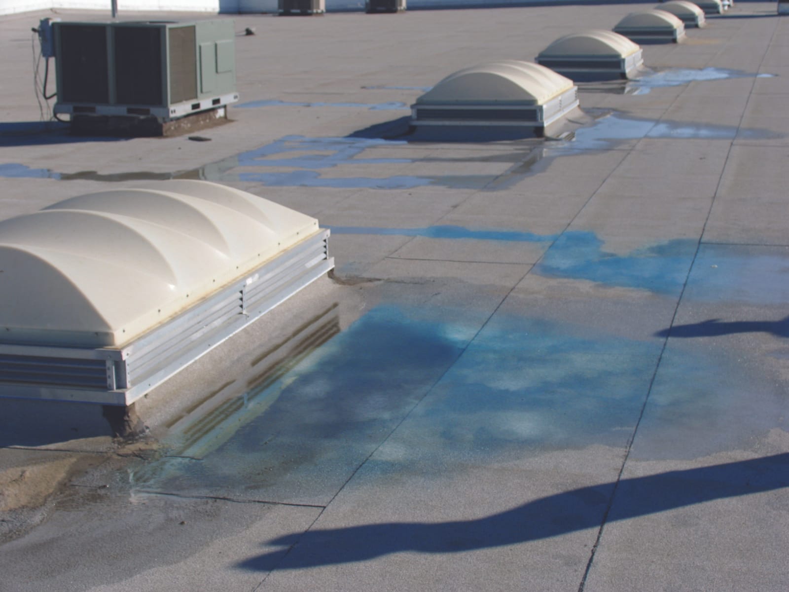 Skylights on flat roofing with water Ponding